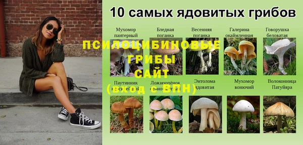 MDMA Дмитров