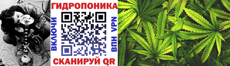 Купить  Осташков  Марихуана планчик 